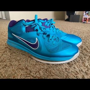 Lebron 9 low hornets
